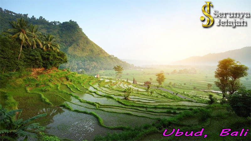 Menikmati Alam dan Seni di Ubud, Bali