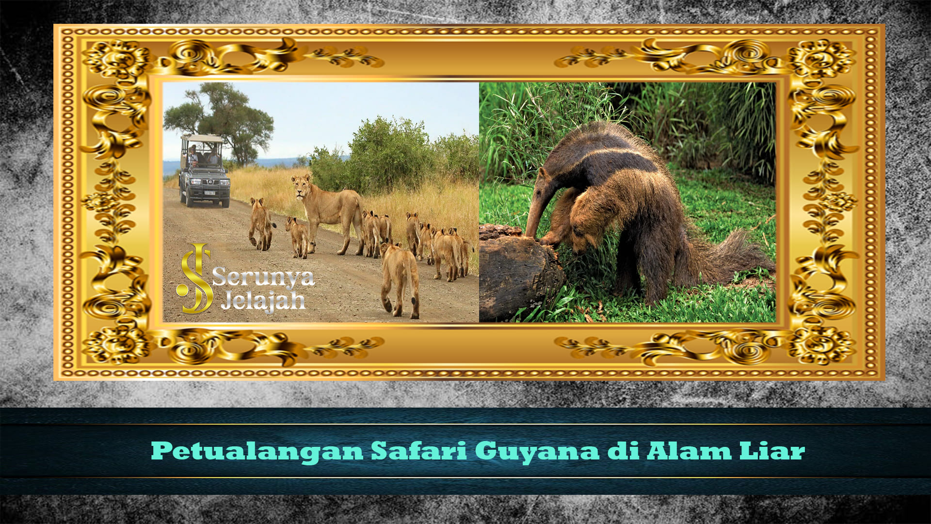 Petualangan Safari Guyana di Alam Liar