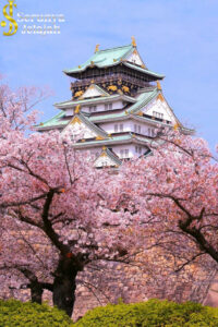 Tempat yang Wajib Dikunjungi di Osaka